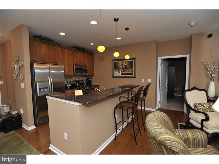 HUNTINGDON PLACE - Residential