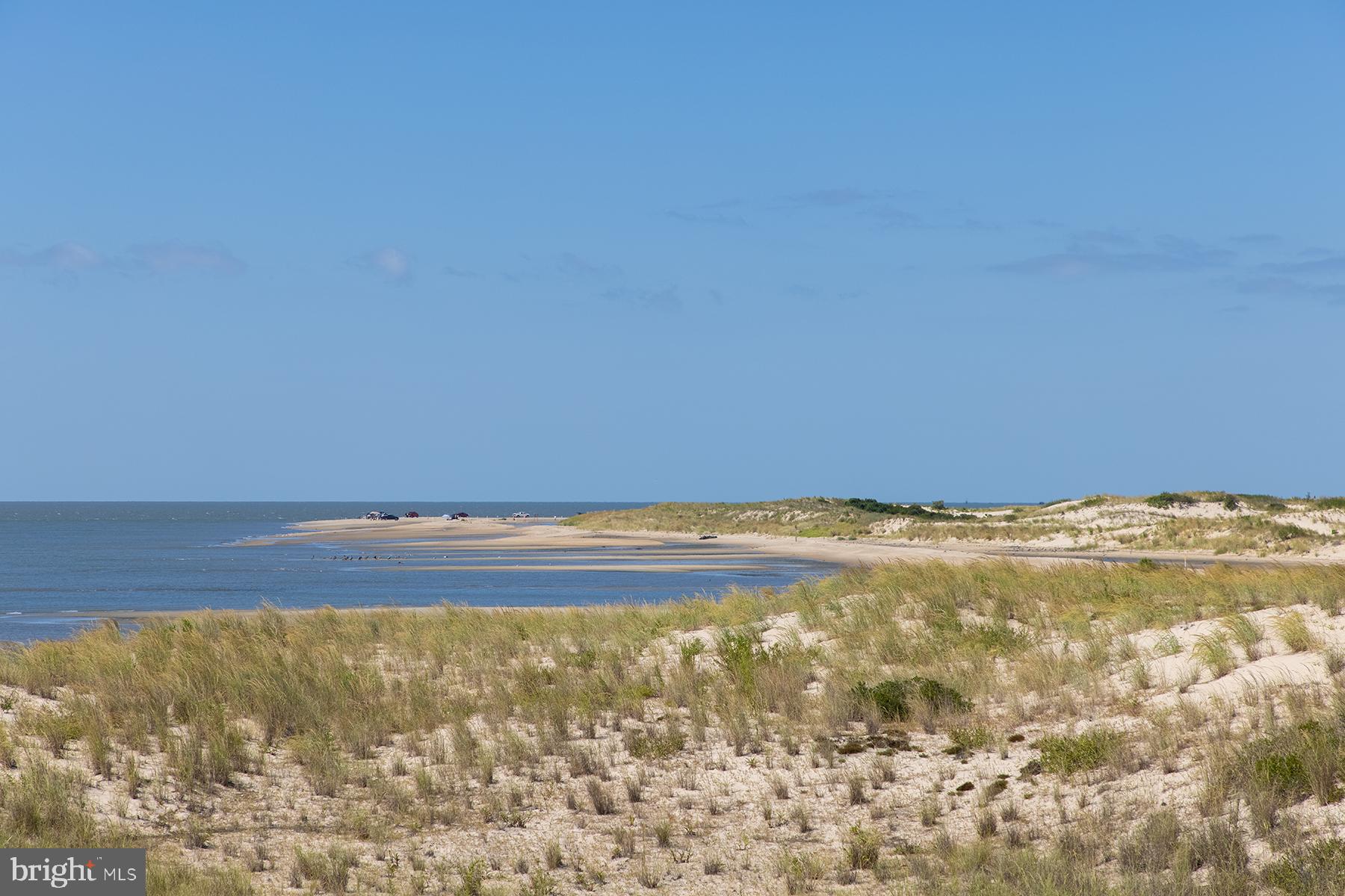 WOLFE POINTE - Residential