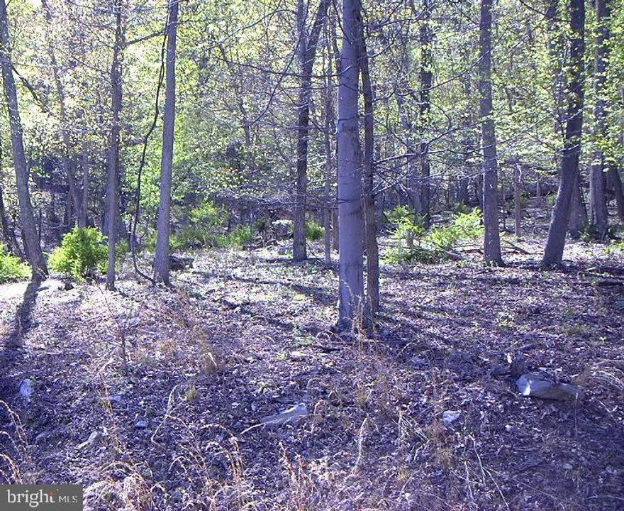 Beautiful, serene, gently sloped lot on 3.47 acres perfect for building that mountain getaway you’ve always dreamed of!  Perced for 3-bedroom home. Well-maintained roads. Located in gated community of Somerset in Paw Paw, WV. Annual memberships are available for access to adjacent year-round Avalon Resort, which features vacation condos, cabins, an aquatics center, as well as camping, tennis and hiking trails. Just two hours from DC area, 40 minutes from fabulous shopping and restaurants in Winchester, VA, and 30 minutes to the spas, shops, and restaurants of historic Berkeley Springs, WV. This home is part of a family-friendly clothing optional community. Come check out this unique property on Merlin Tor Drive and find out precisely why West Virginia is considered "Almost Heaven."