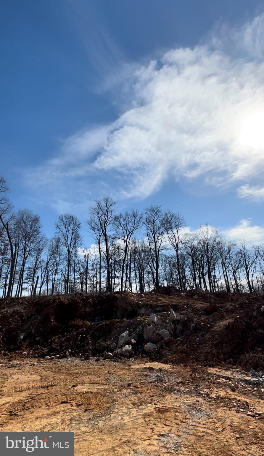 CARDINAL POINTE - Residential