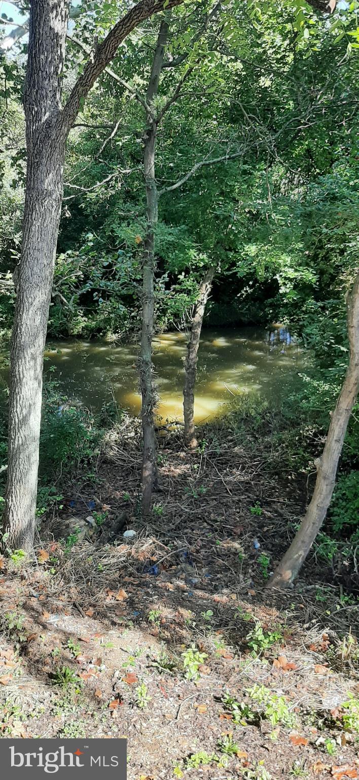 TROUT RUN - Residential Lease