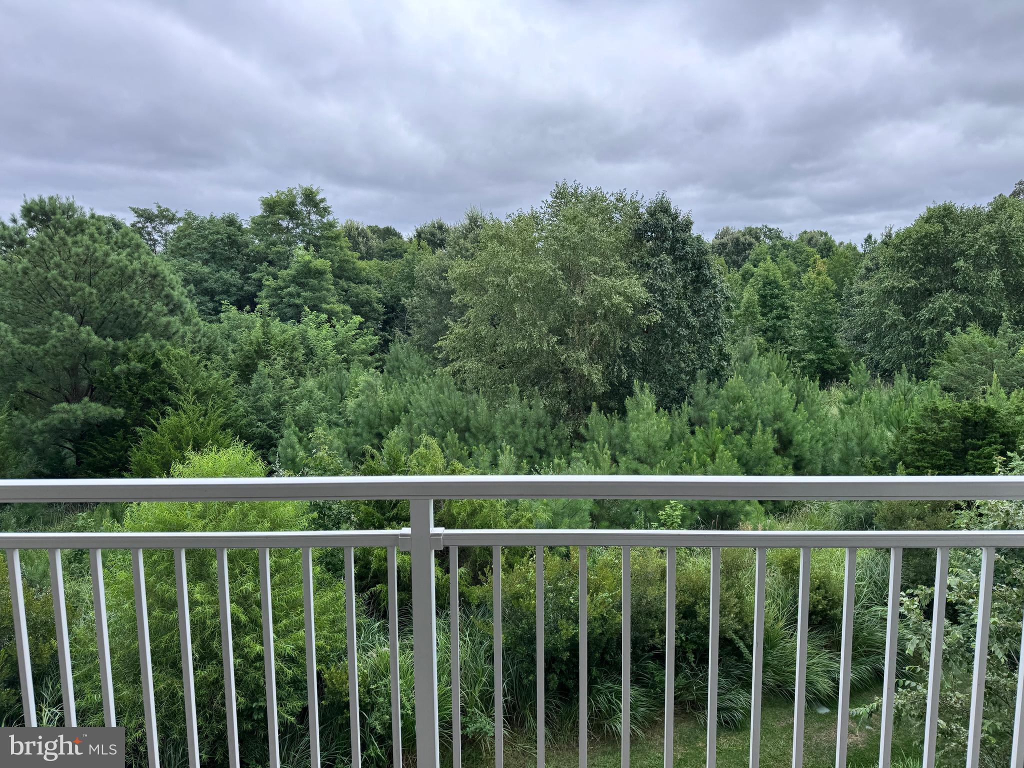 FOUR SEASONS AT KENT ISLAND - Residential