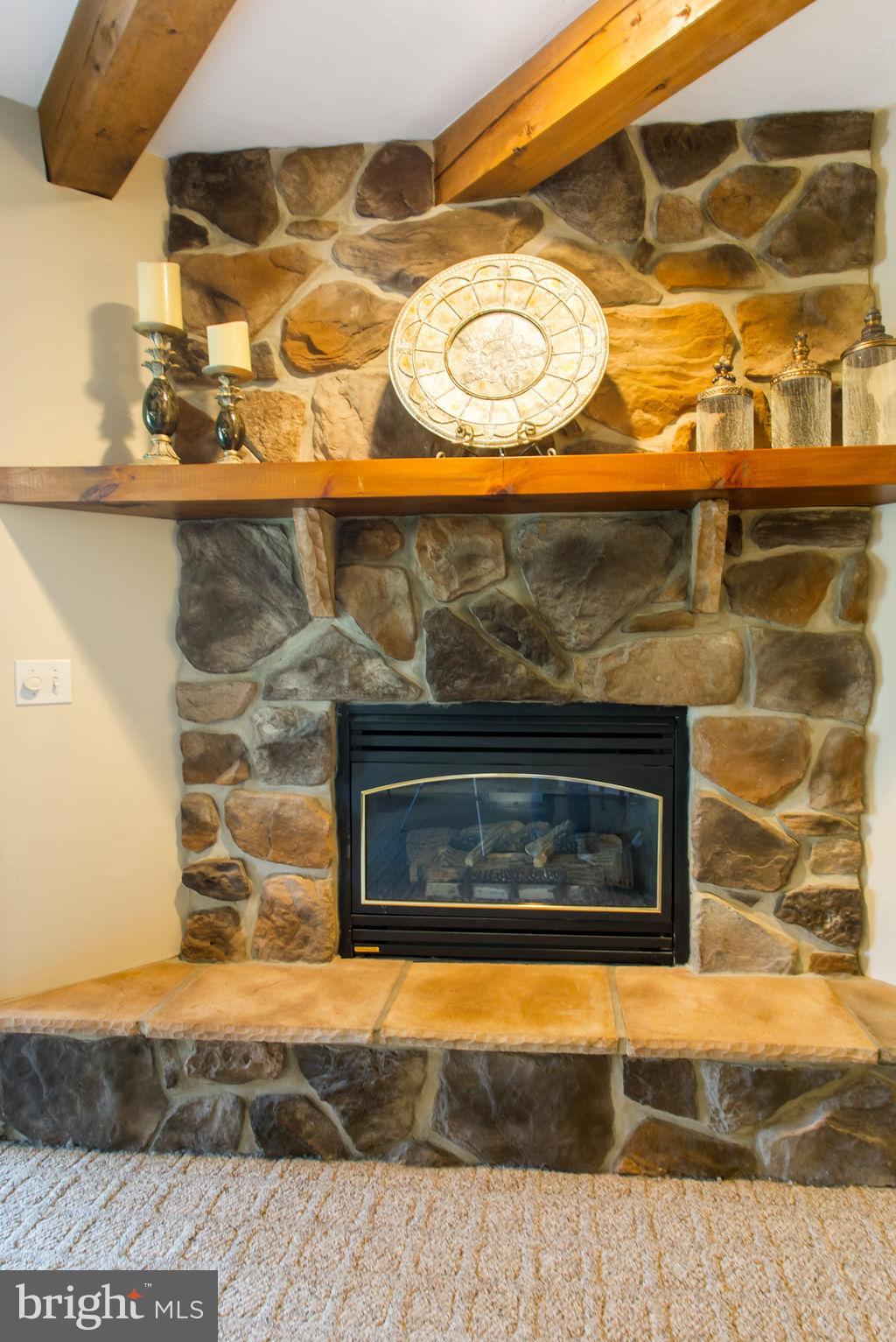 SPRING FORGE - Residential