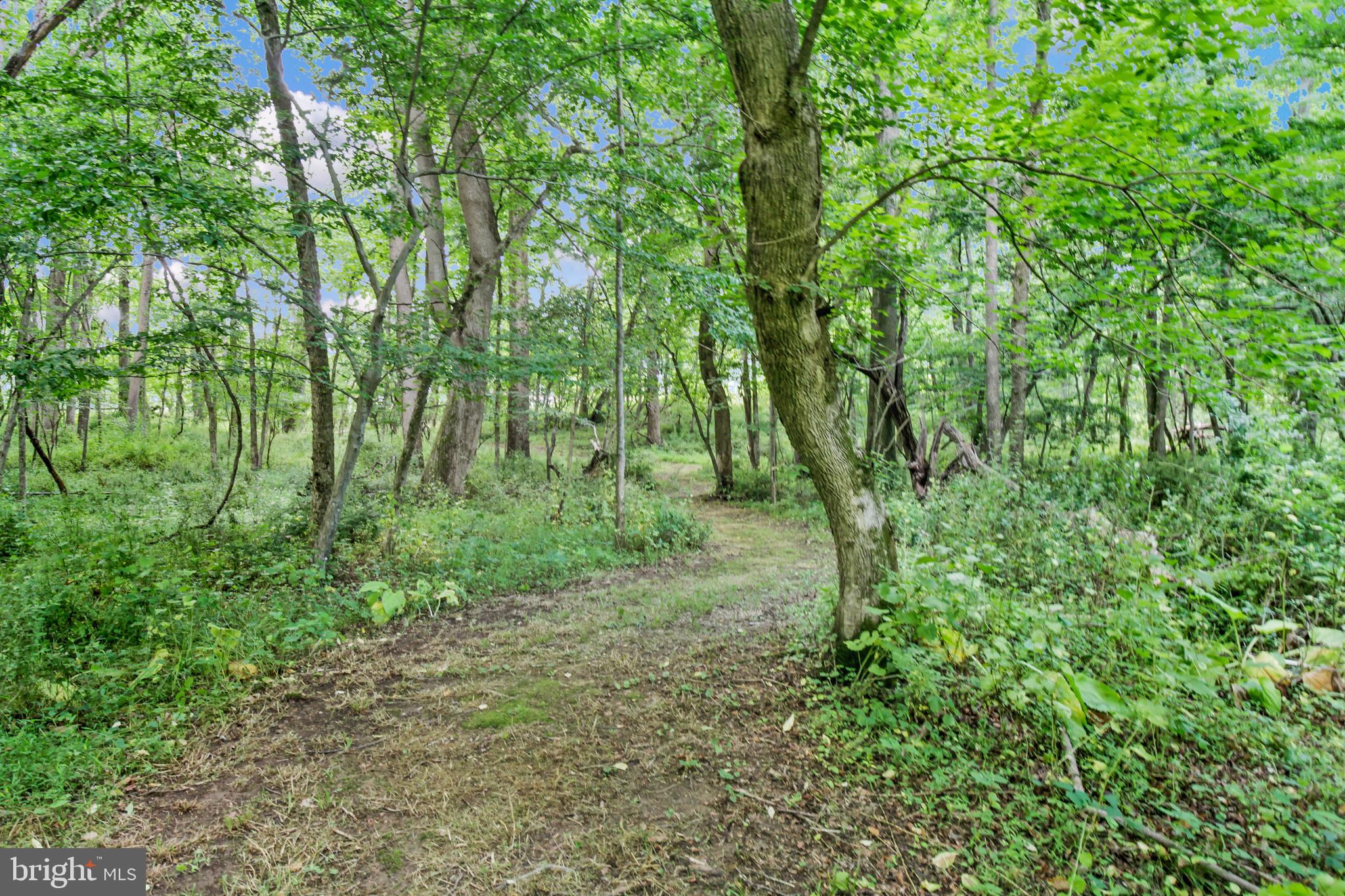 PATUXENT CHASE - Residential