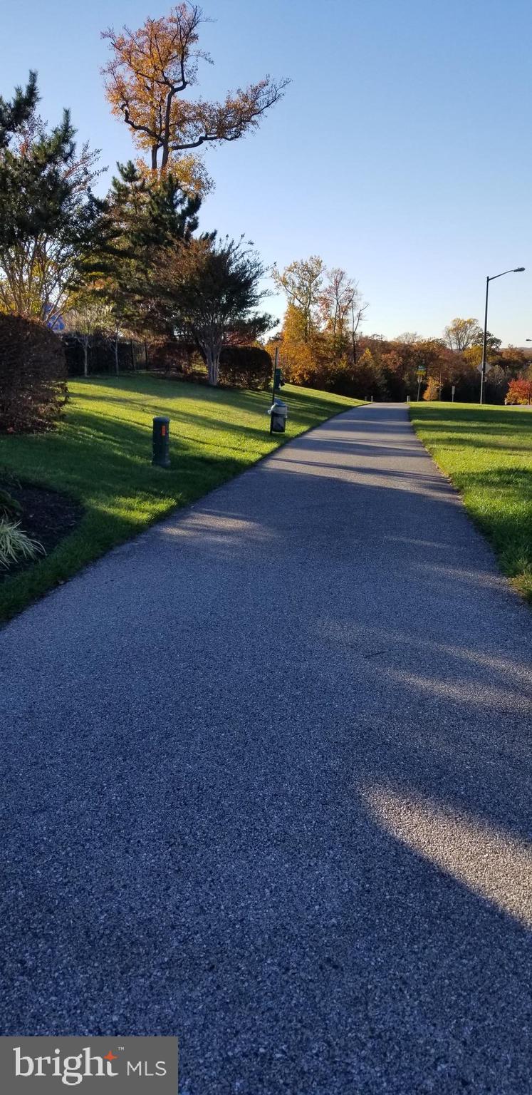 PINEY ORCHARD - Residential