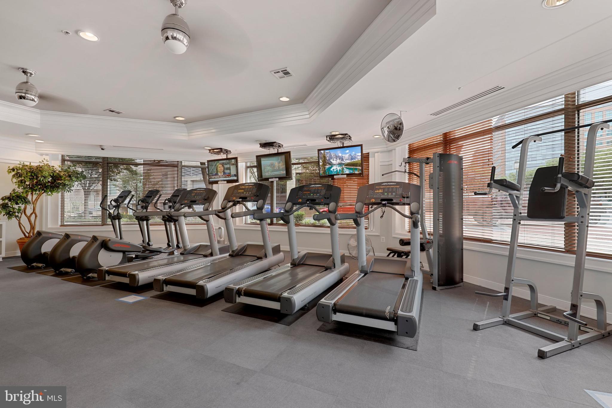 SAVOY AT RESTON TOWN CENTER - Residential