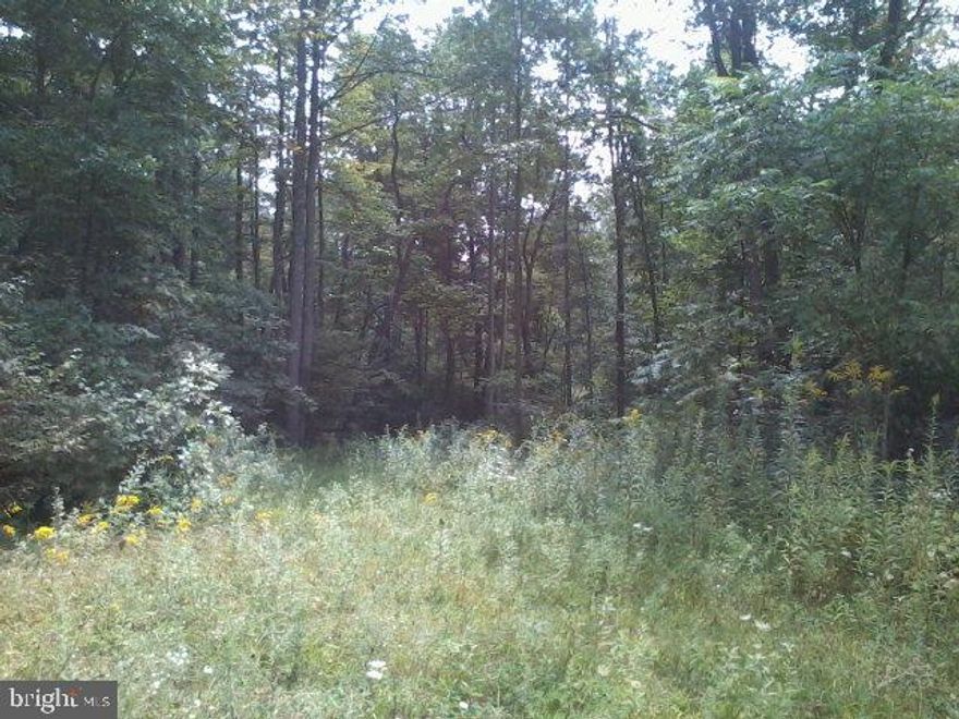 This 12.1 acre wooded lot is ready for your dream home.  Very rural and private location, but still only located about 15 minutes from Route 322. Build a cabin and use the property for hunting.  Wildlife abounds. Call today!