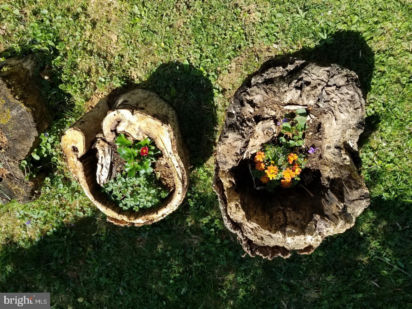 SKYLAND ESTATES - Residential