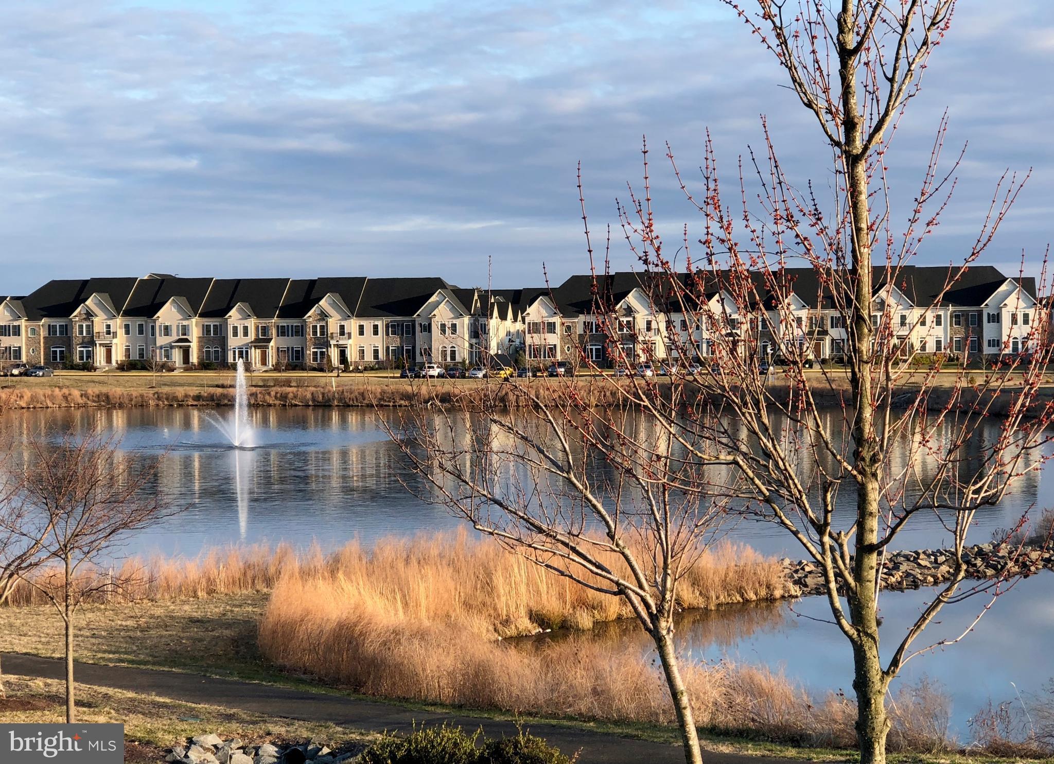 AVONLEA - Residential Lease