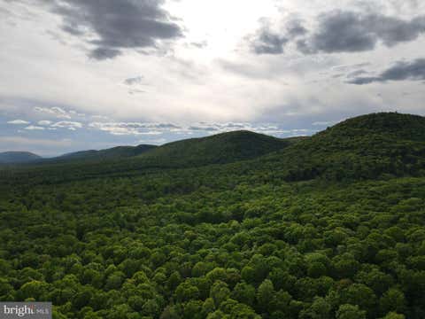 Vacant Land For Sale - Grouse Trl Trail<br/> MC ALISTERVILLE, PA 17049