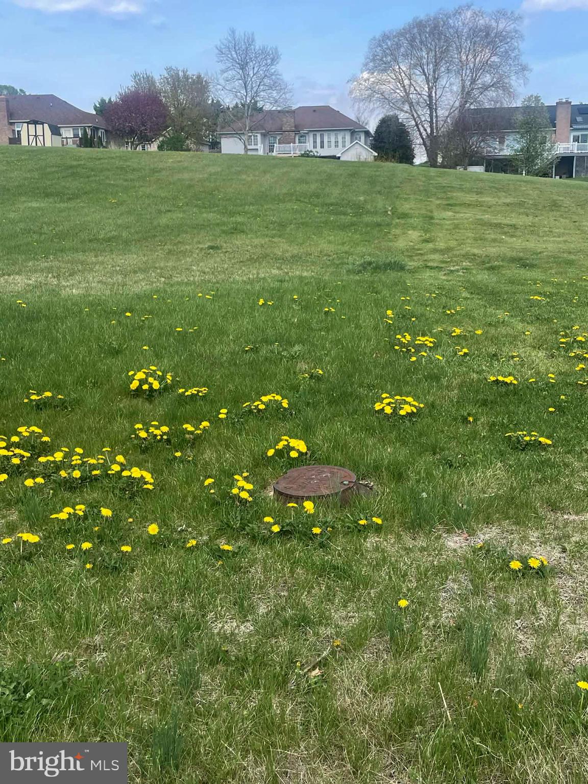 THE FOOTHILLS - Land