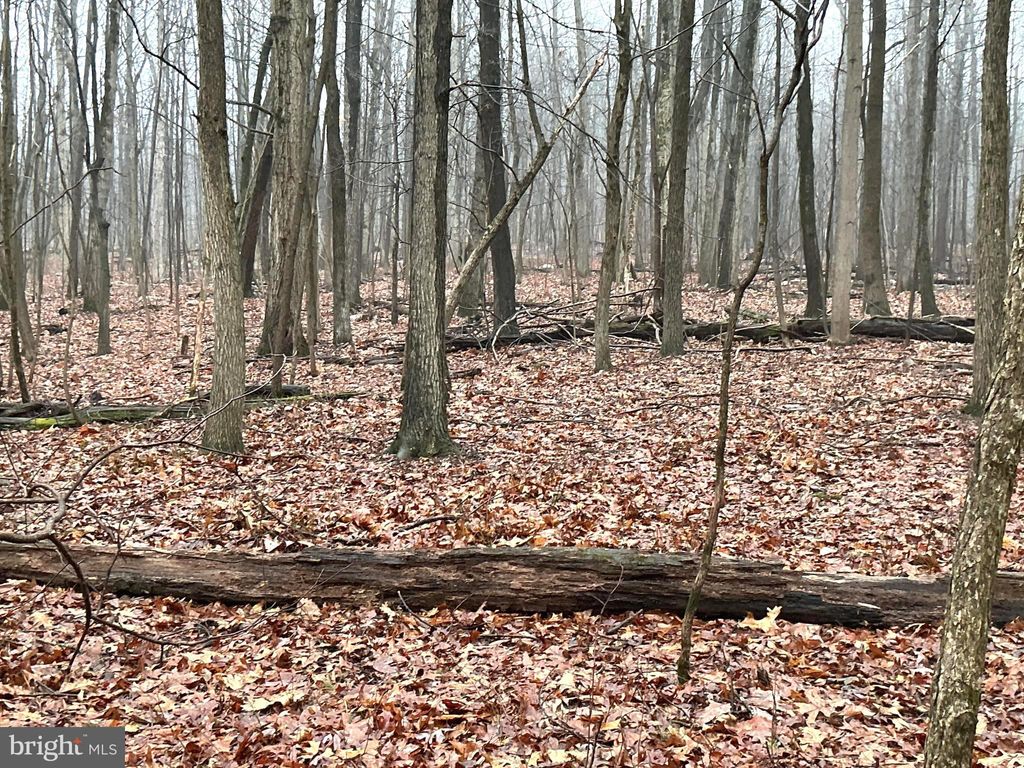 Photo of Lot Indian Peg Road, BOILING SPRINGS, PA 17007 (MLS # PACB2051154)