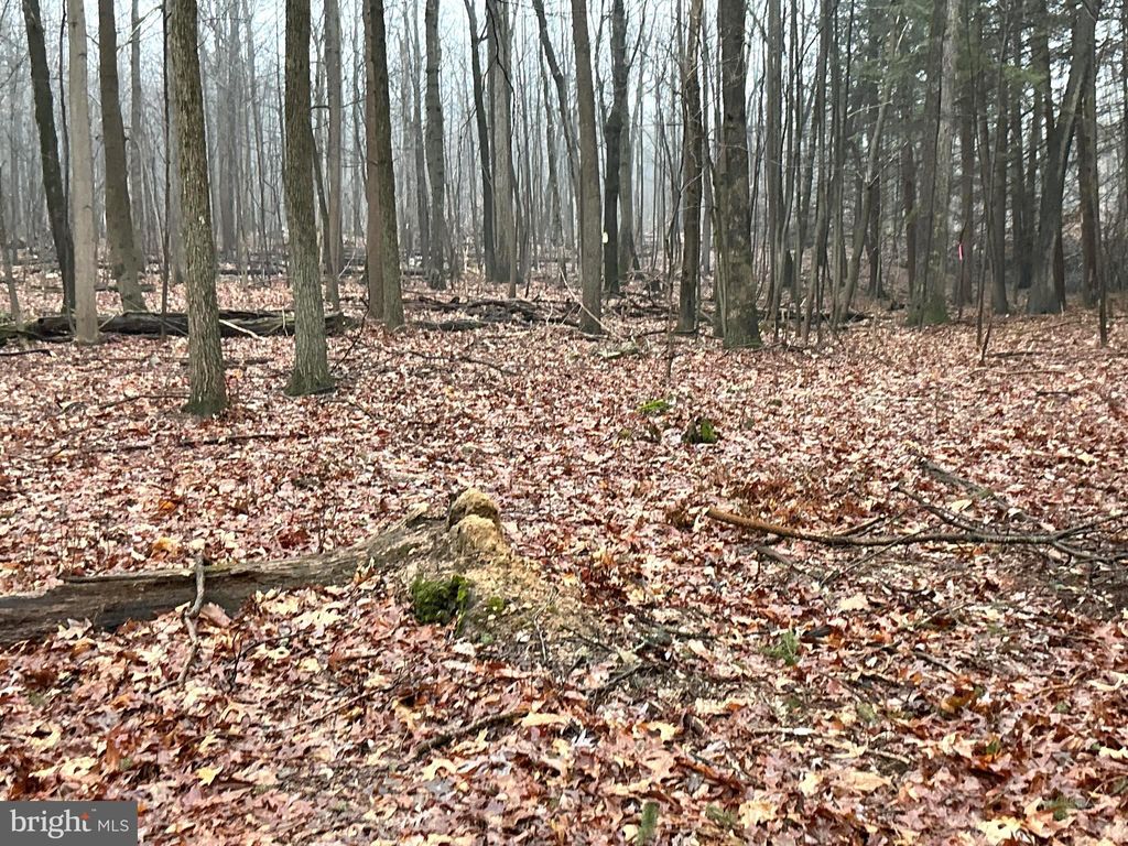 Photo of Lot Indian Peg Road, BOILING SPRINGS, PA 17007 (MLS # PACB2051154)