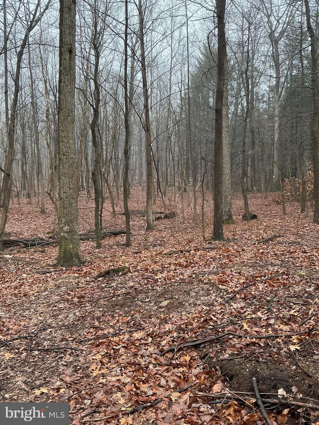 Photo of Lot Indian Peg Road, BOILING SPRINGS, PA 17007 (MLS # PACB2051154)
