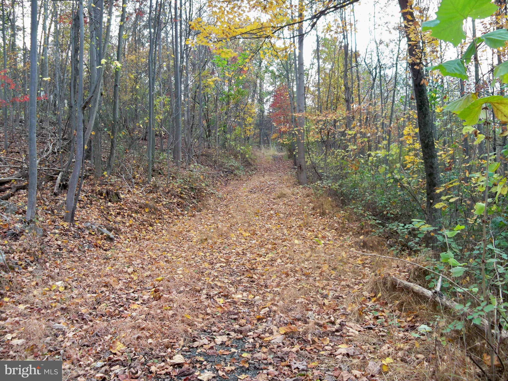 NONE AVAILABLE - Land