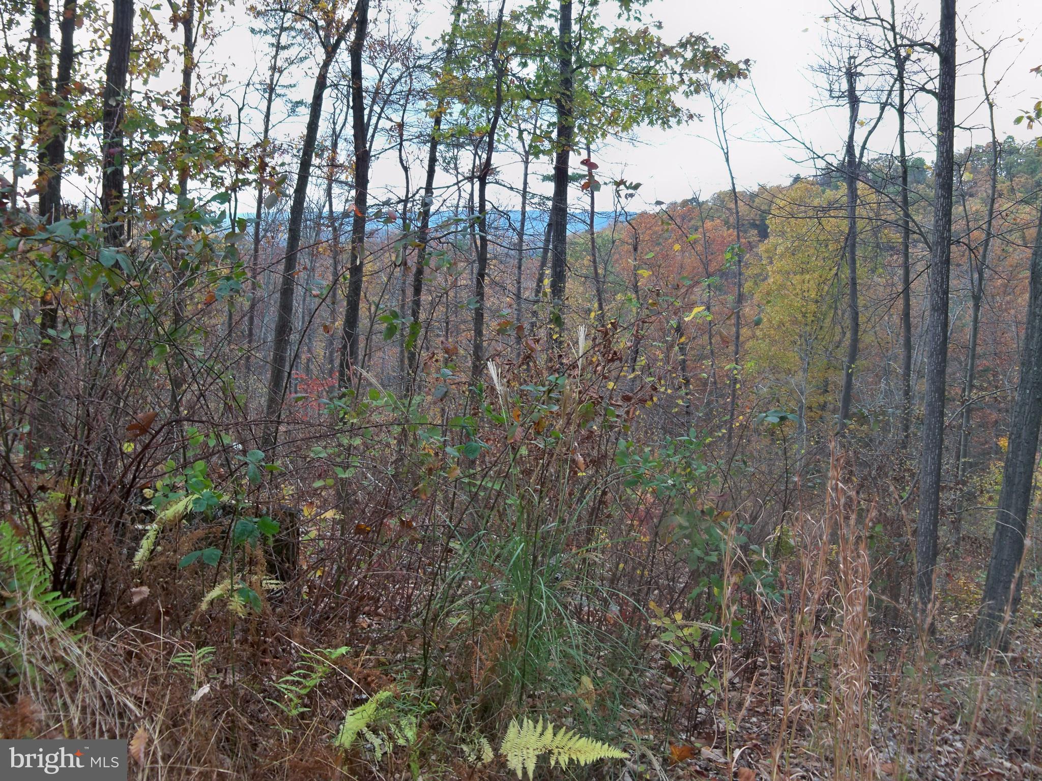 NONE AVAILABLE - Land