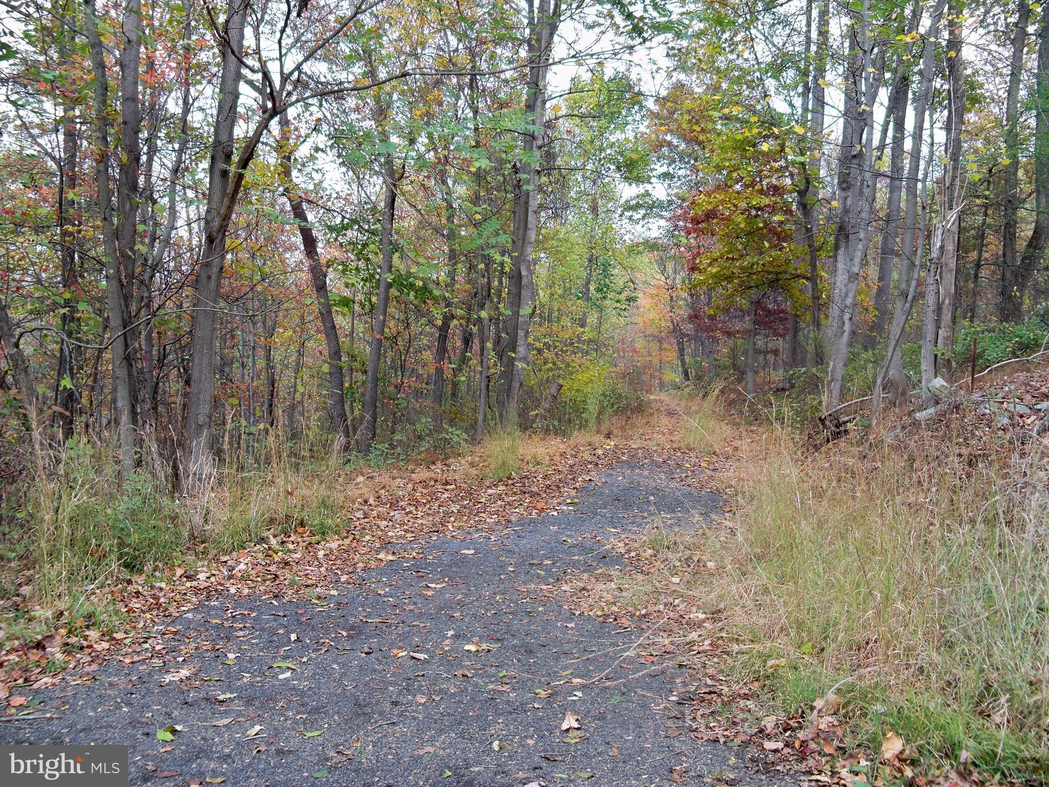 NONE AVAILABLE - Land