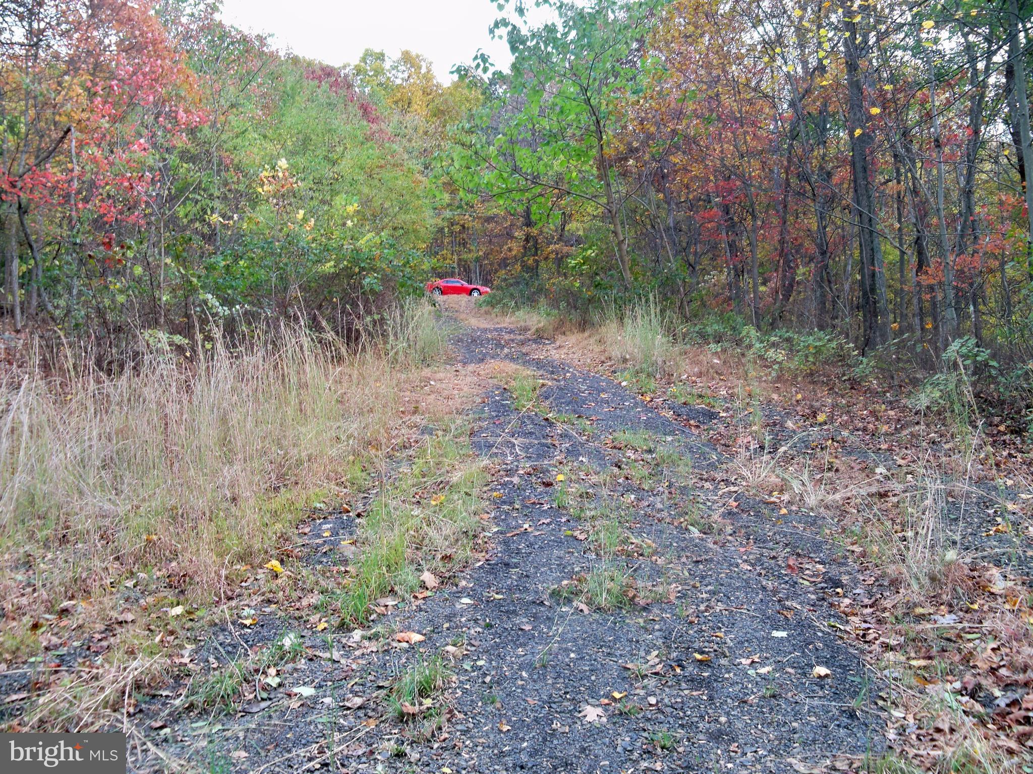 NONE AVAILABLE - Land