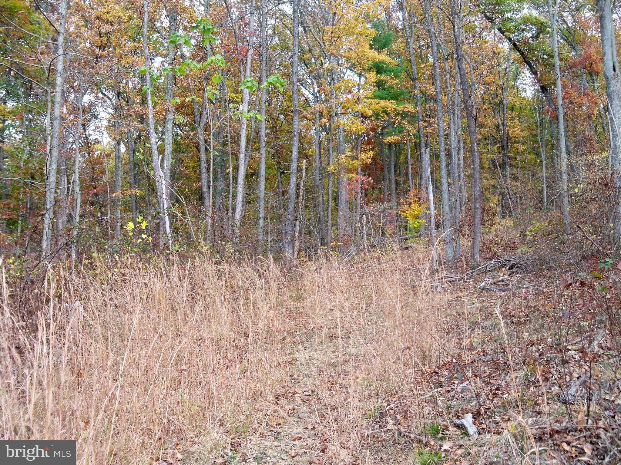 NONE AVAILABLE - Land