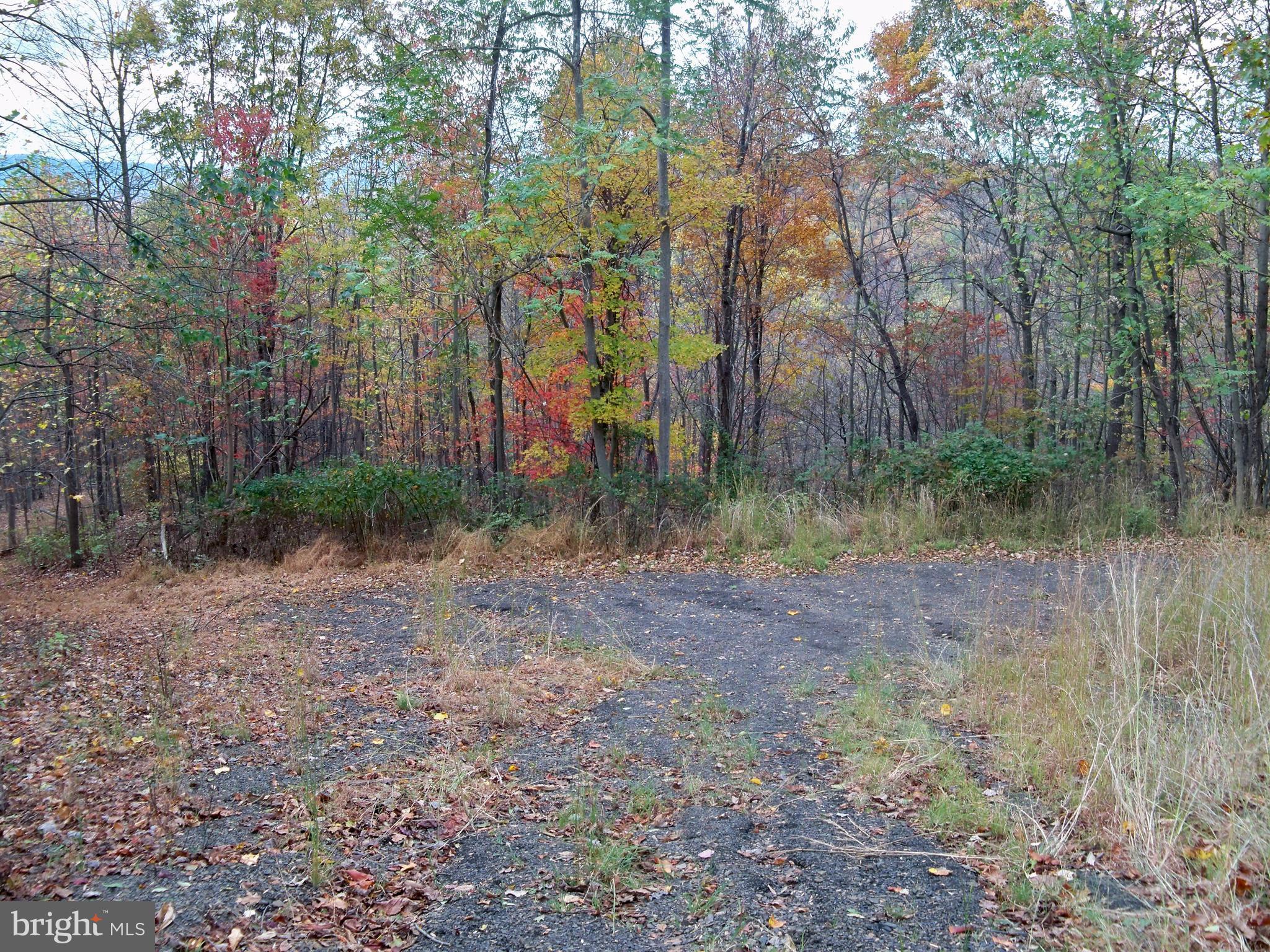 NONE AVAILABLE - Land