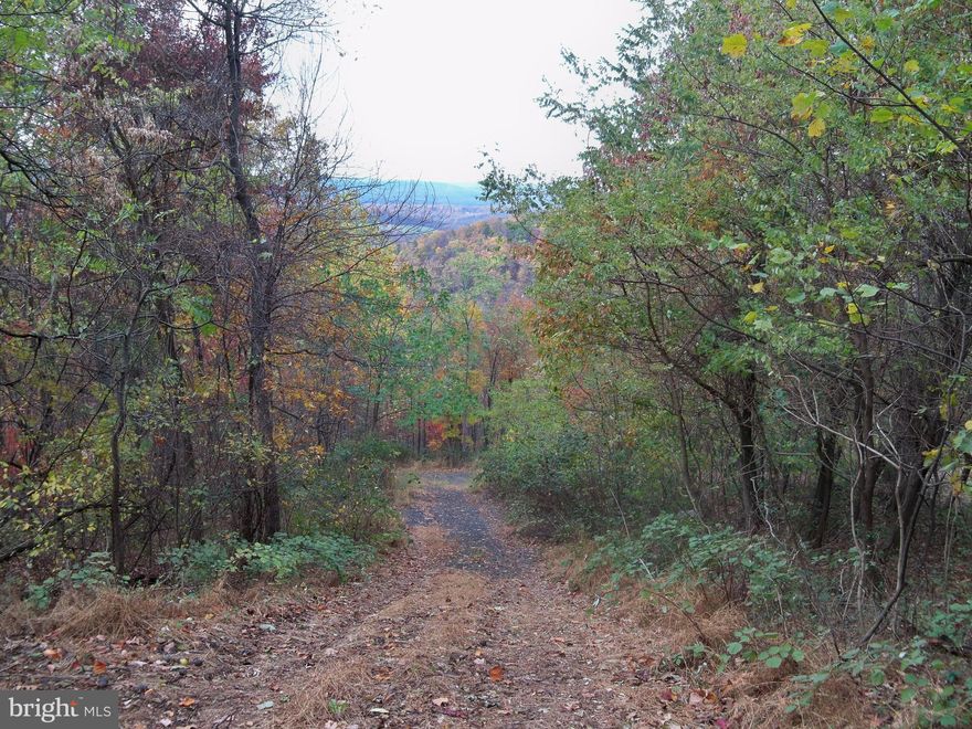 Hunters Alert!  Beautiful wooded and UNRESTRICTED 20.91 acres with a spring. Possibility to install a spring fed pond.  Possible 2 - 3 building sites. Amazing views and lots of possibilities! Seller willing to walk property to point out boundaries to serious buyers.  There is a 75' roadway entering property. Plat uploaded to MRIS Docs.  See sign for entrance.