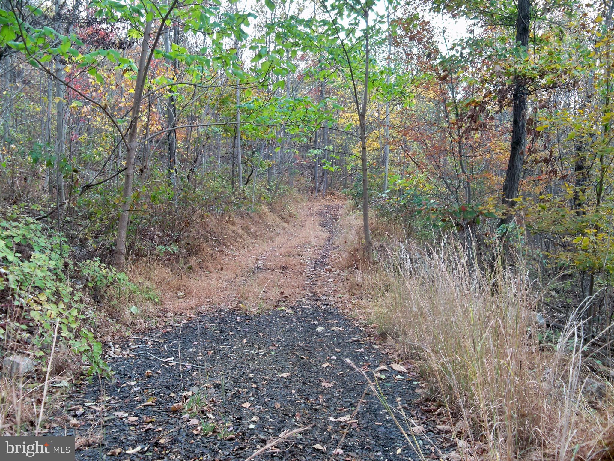 NONE AVAILABLE - Land