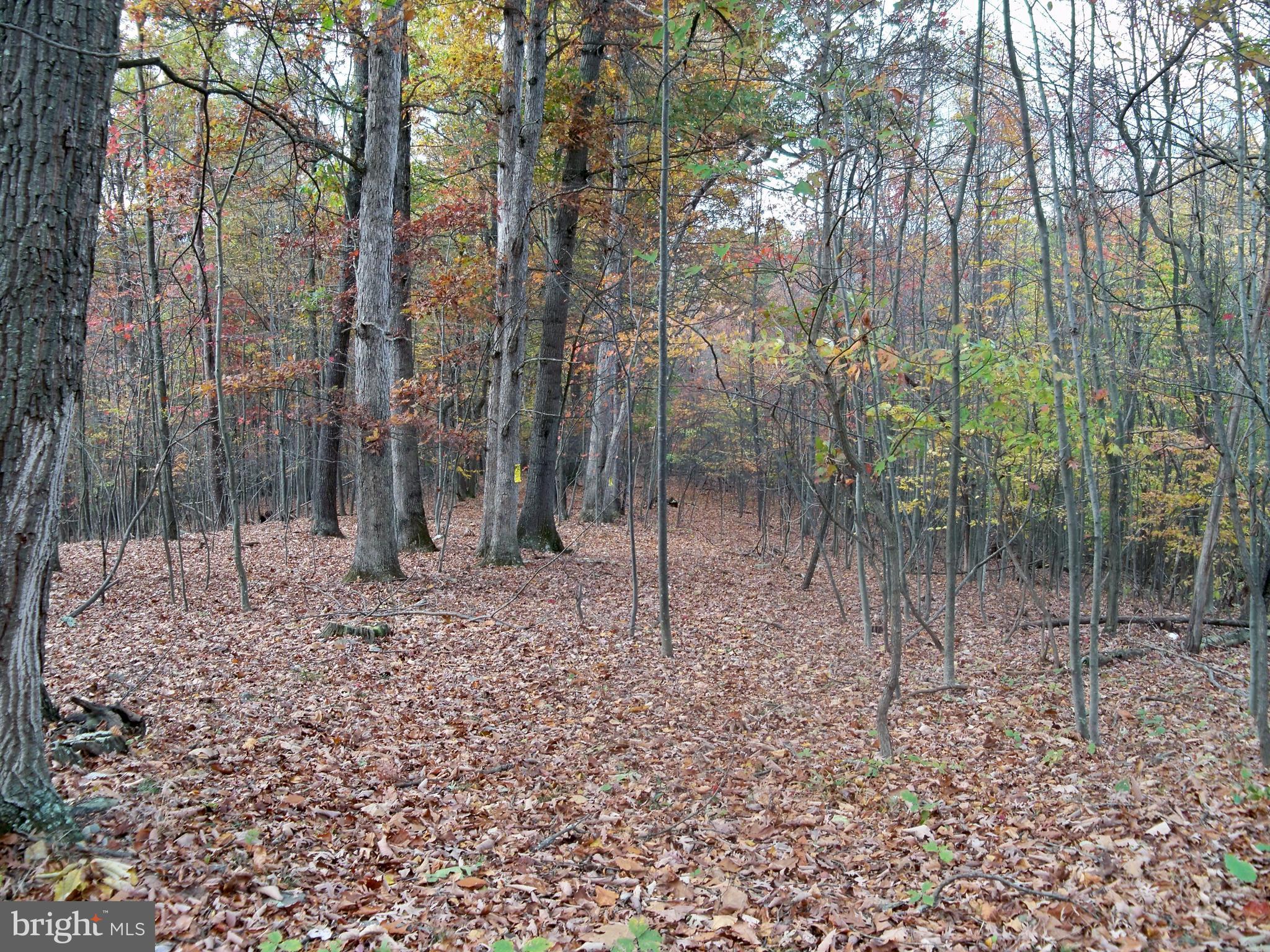 NONE AVAILABLE - Land