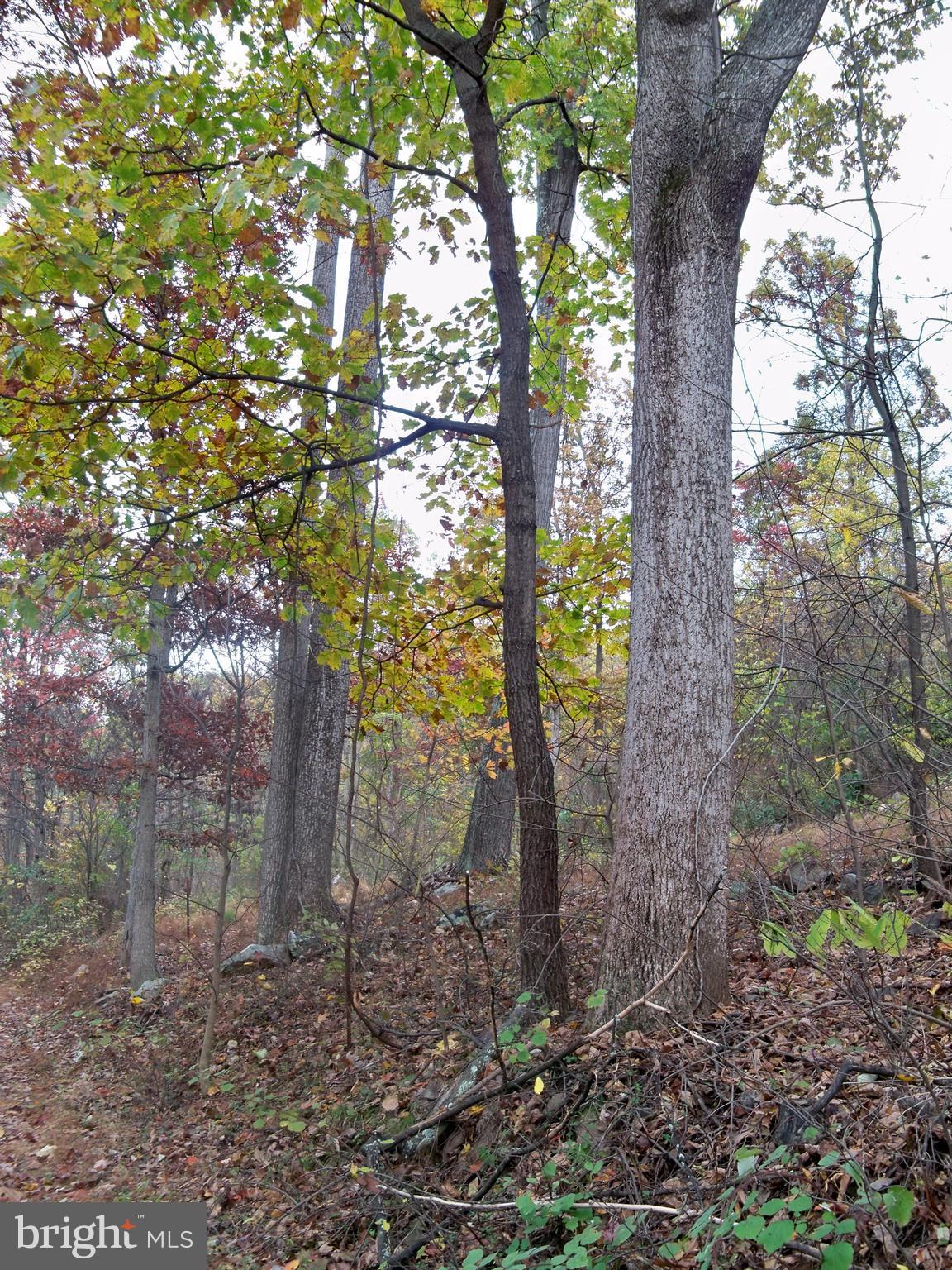 NONE AVAILABLE - Land