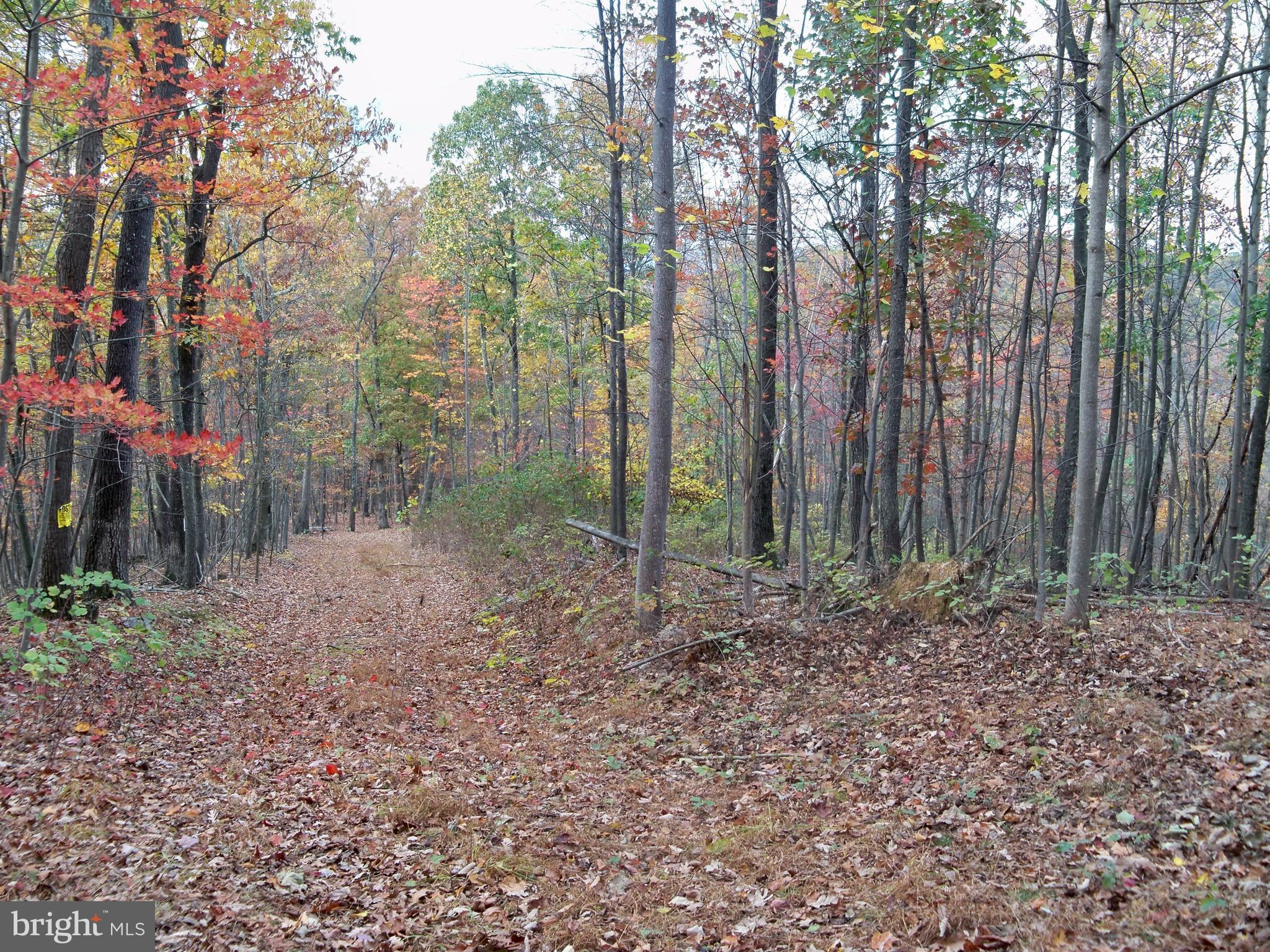 NONE AVAILABLE - Land