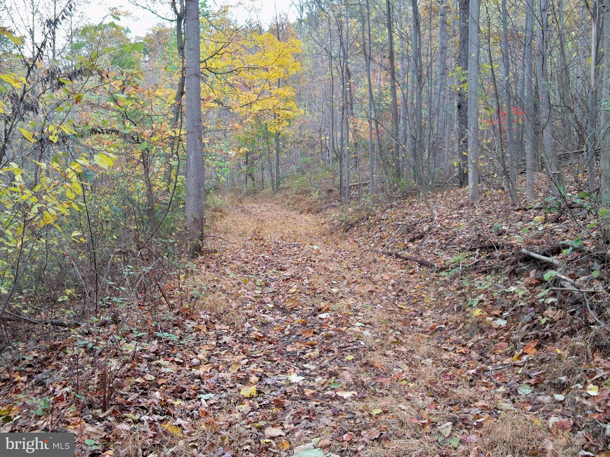 NONE AVAILABLE - Land