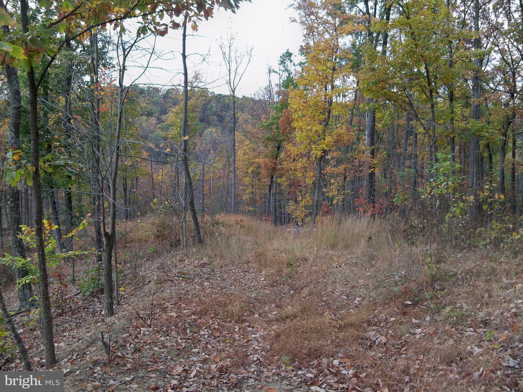 NONE AVAILABLE - Land