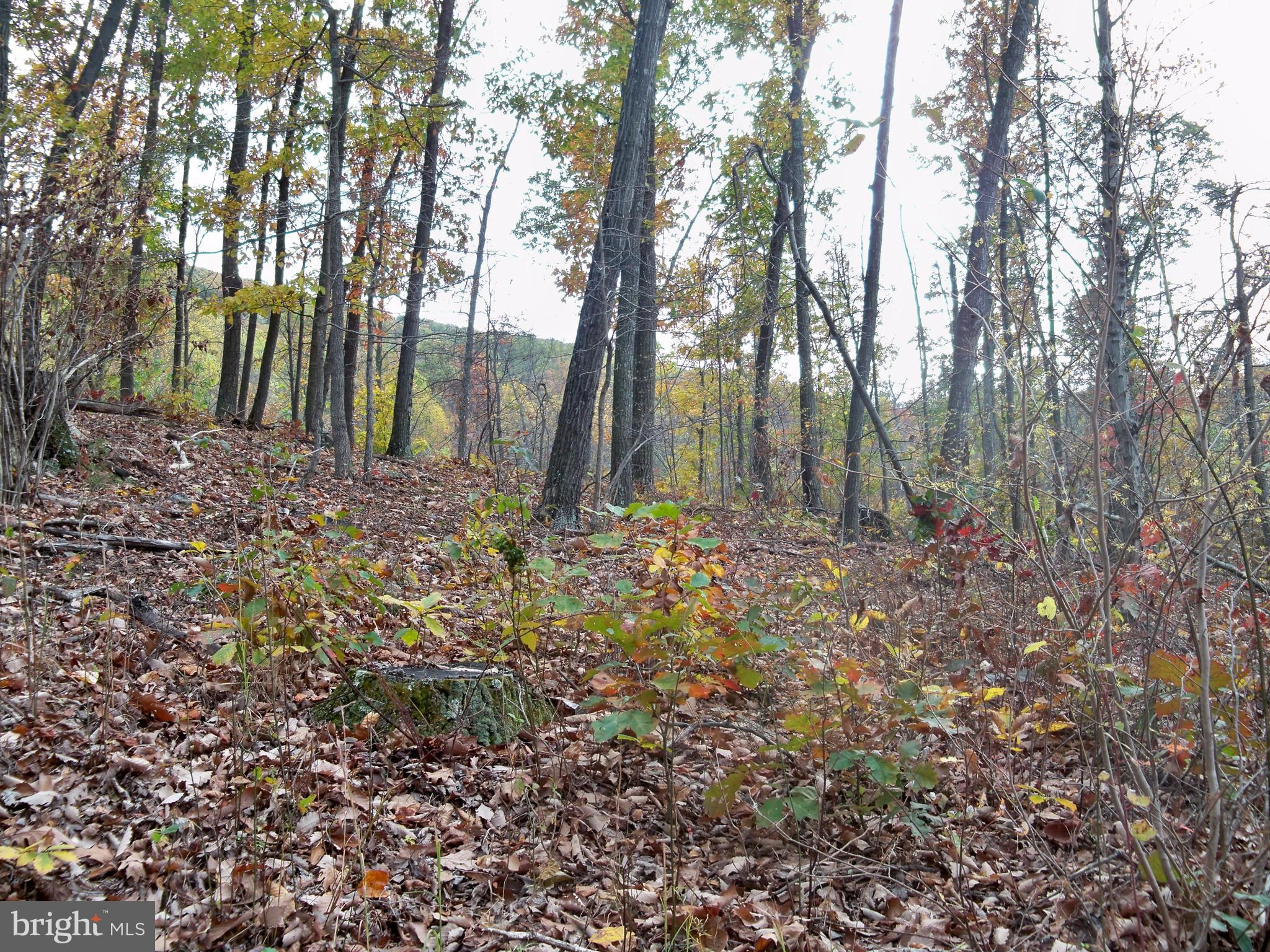 NONE AVAILABLE - Land