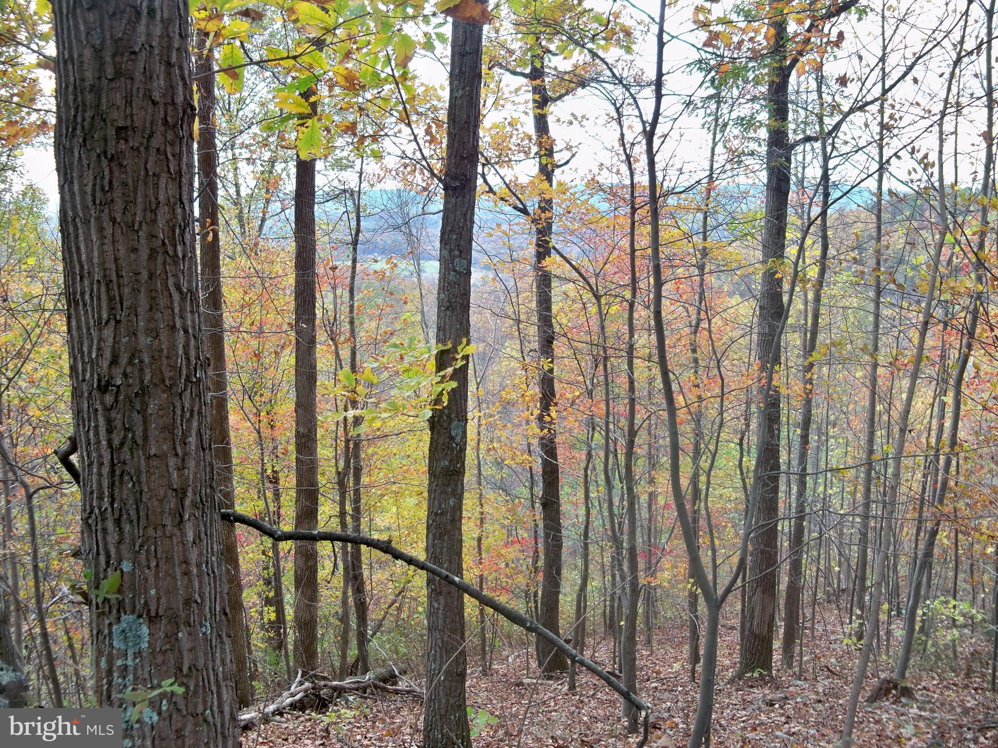 NONE AVAILABLE - Land