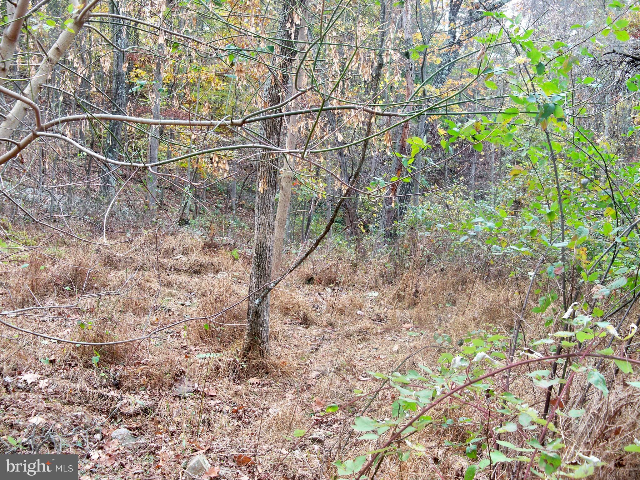 NONE AVAILABLE - Land