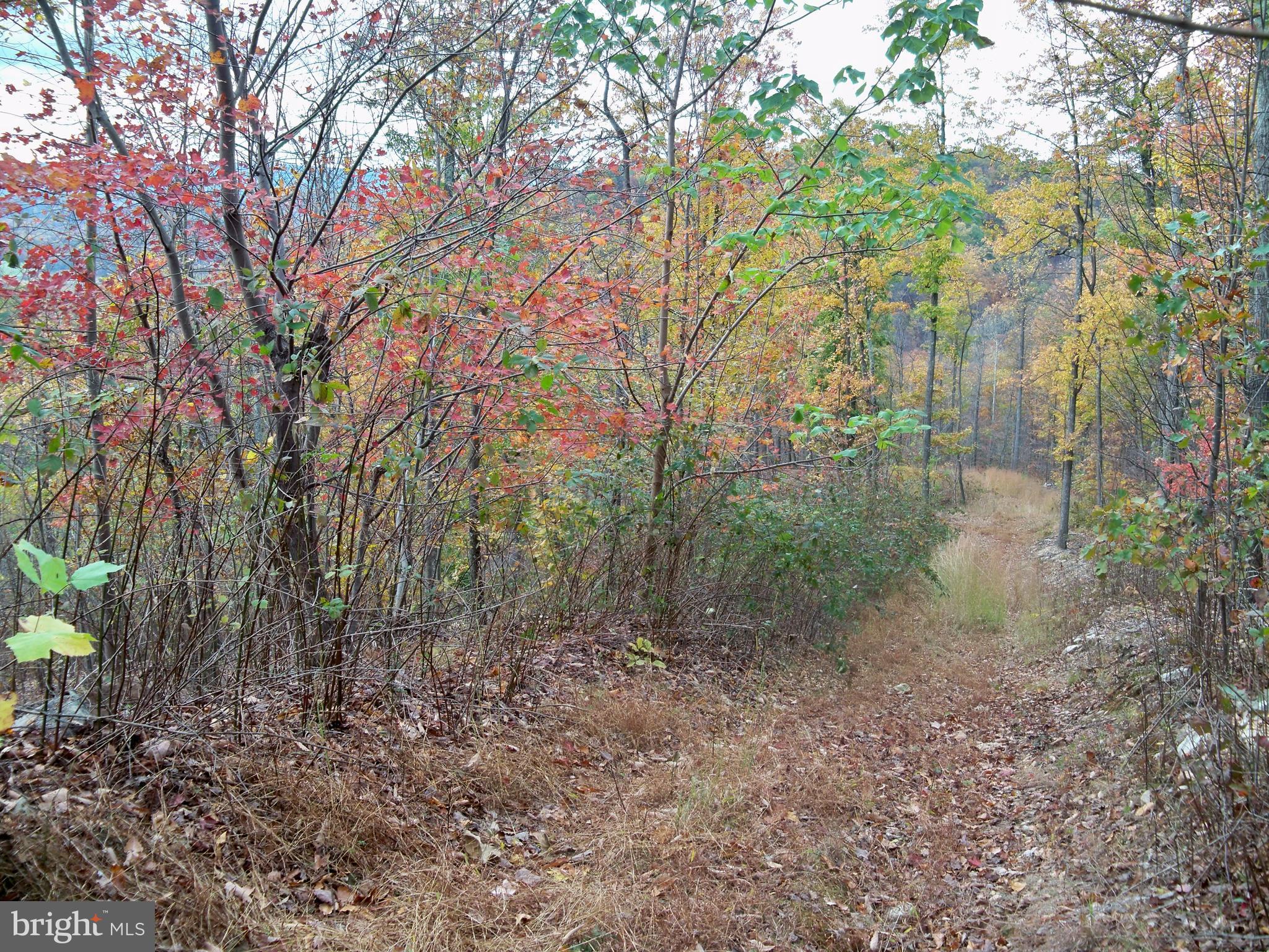 NONE AVAILABLE - Land