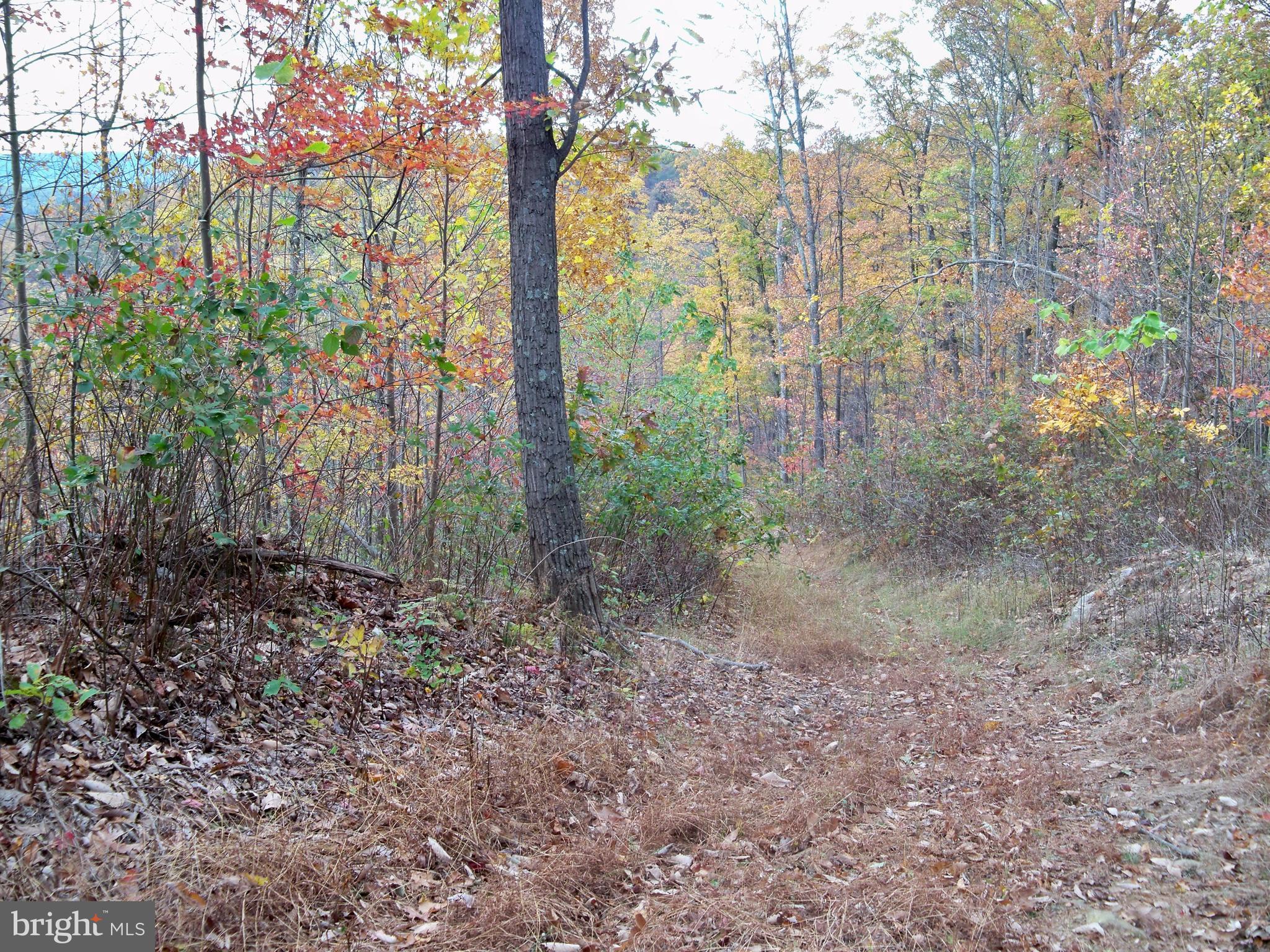 NONE AVAILABLE - Land