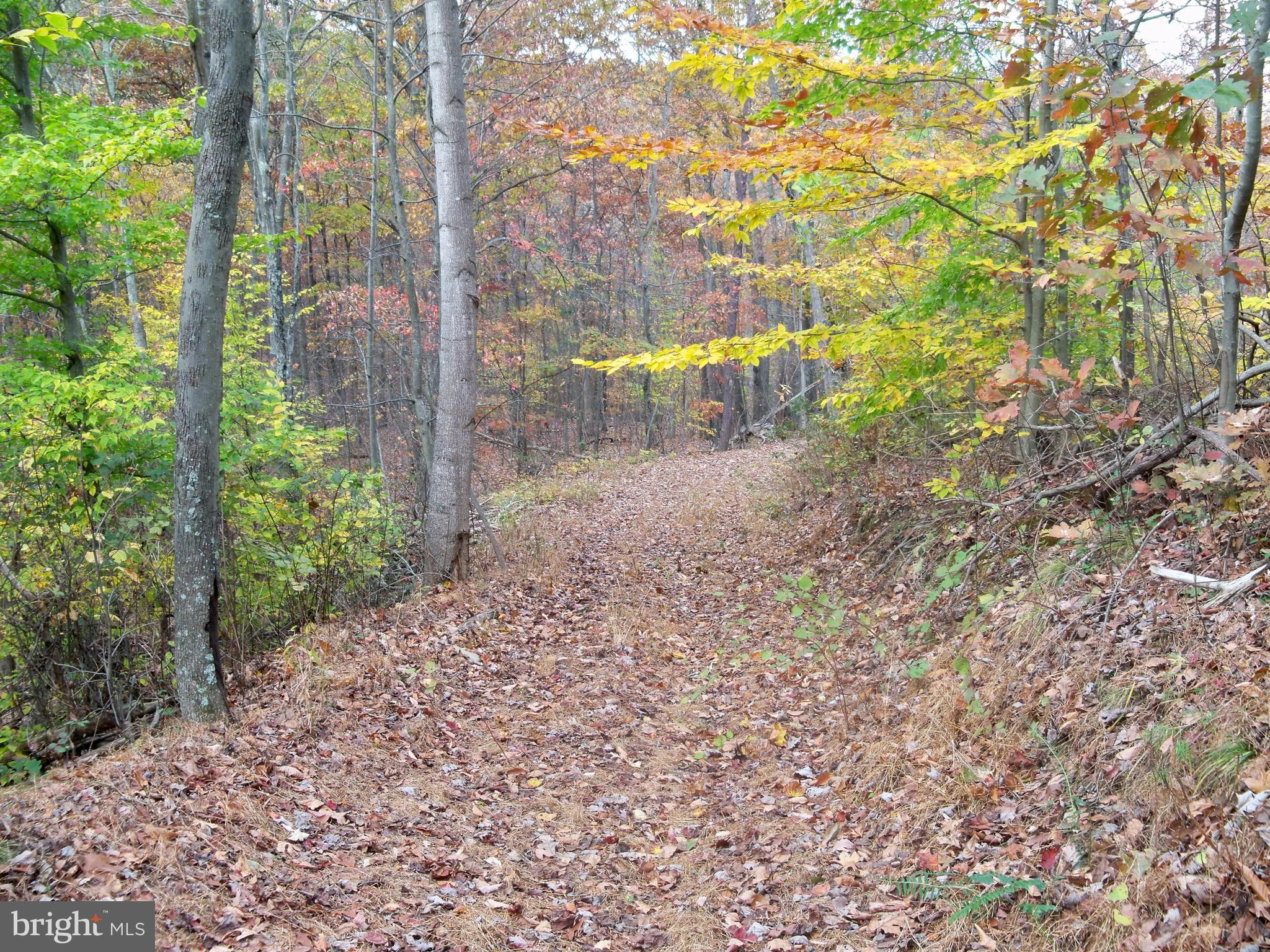 NONE AVAILABLE - Land