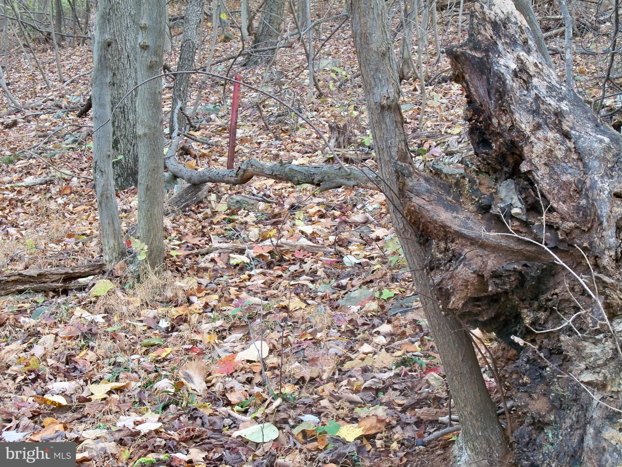 NONE AVAILABLE - Land