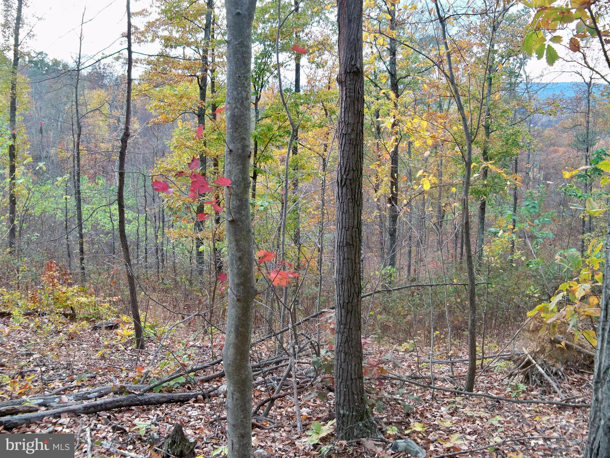 NONE AVAILABLE - Land