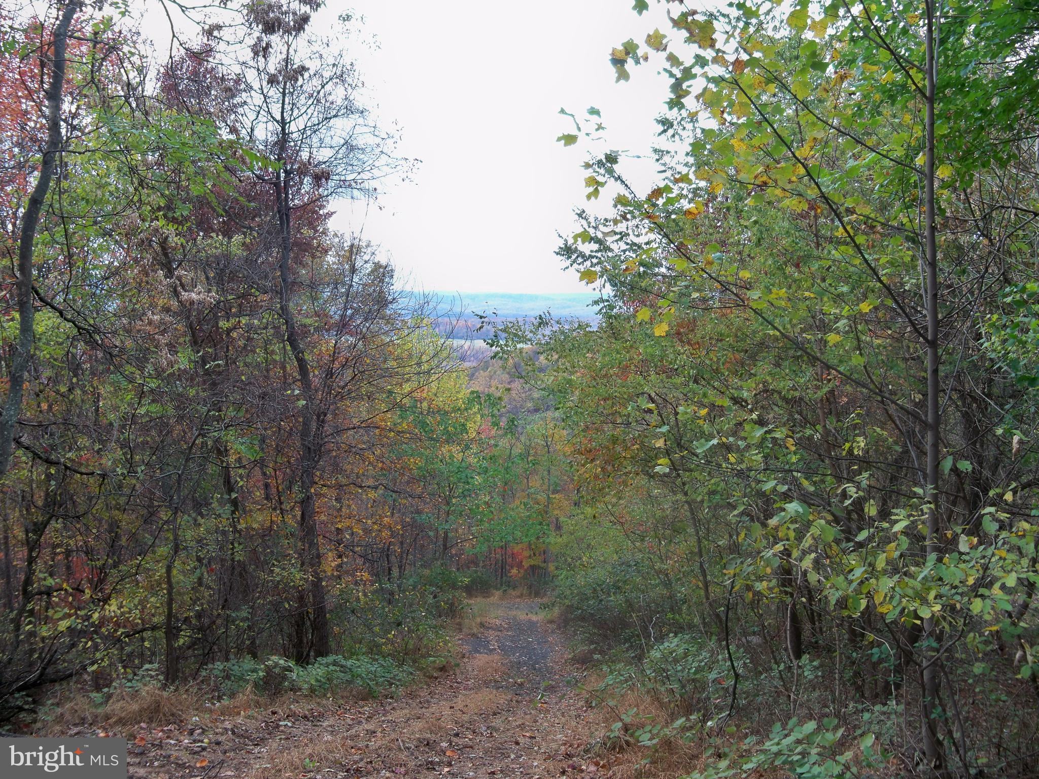 NONE AVAILABLE - Land