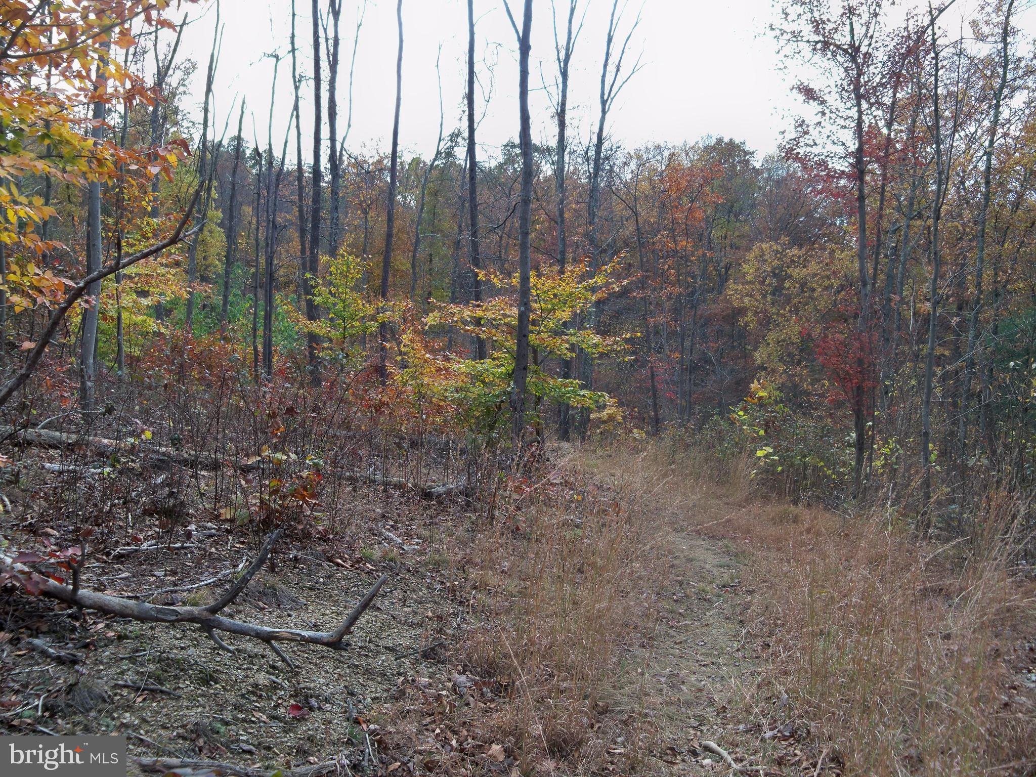 NONE AVAILABLE - Land