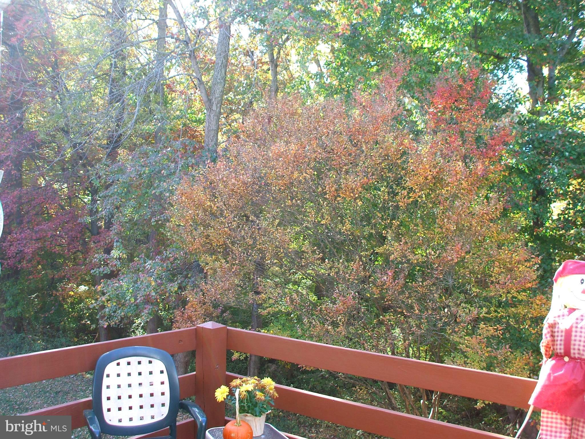 SOMERSET - Residential