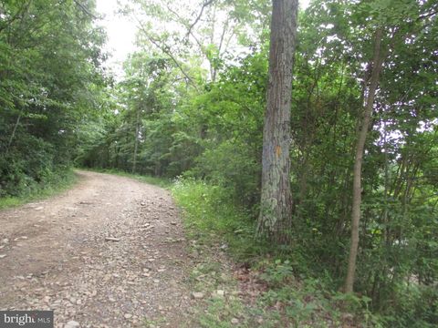 Vacant Land For Sale - 1000 Snake Rd<br/> Preston County, AURORA, WV 26705