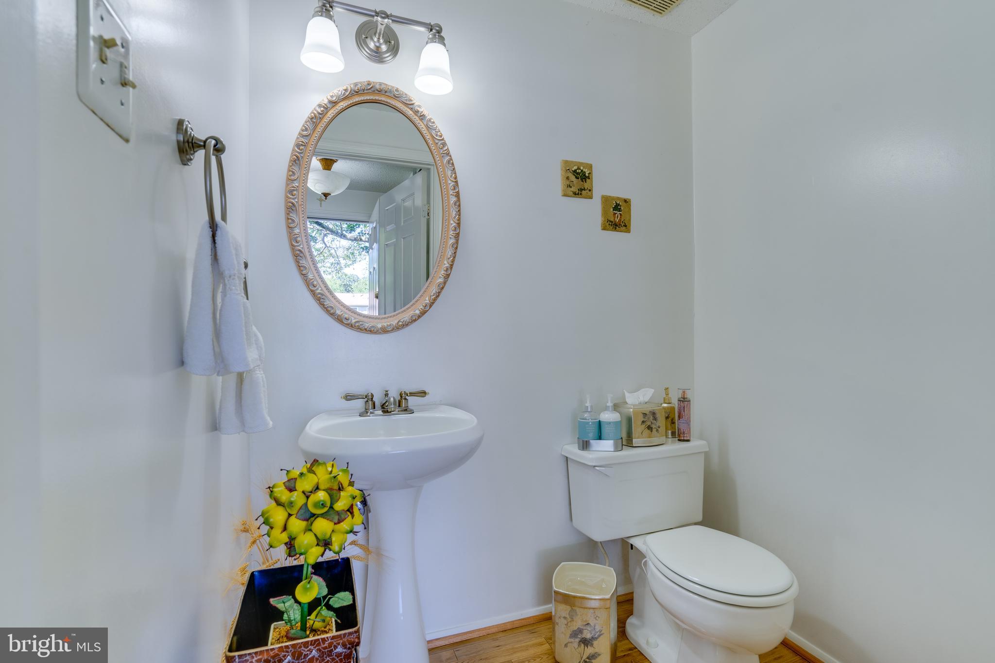 BURKE VILLAGE - Residential