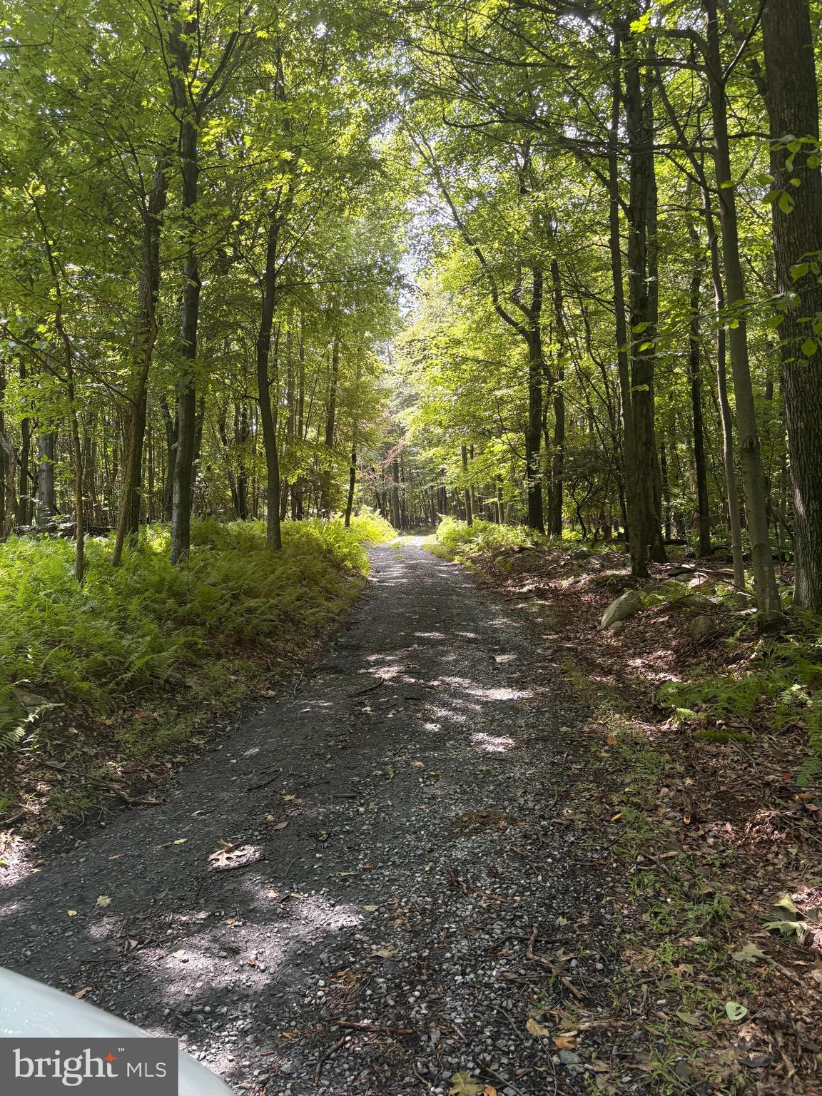 LITTLE ROCK ROAD