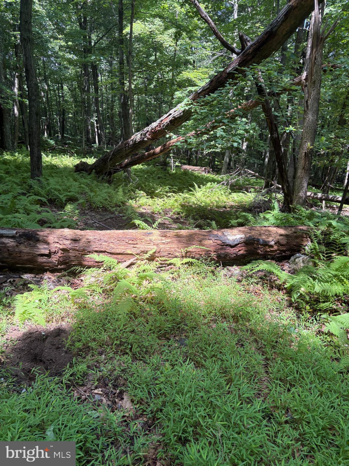LITTLE ROCK ROAD