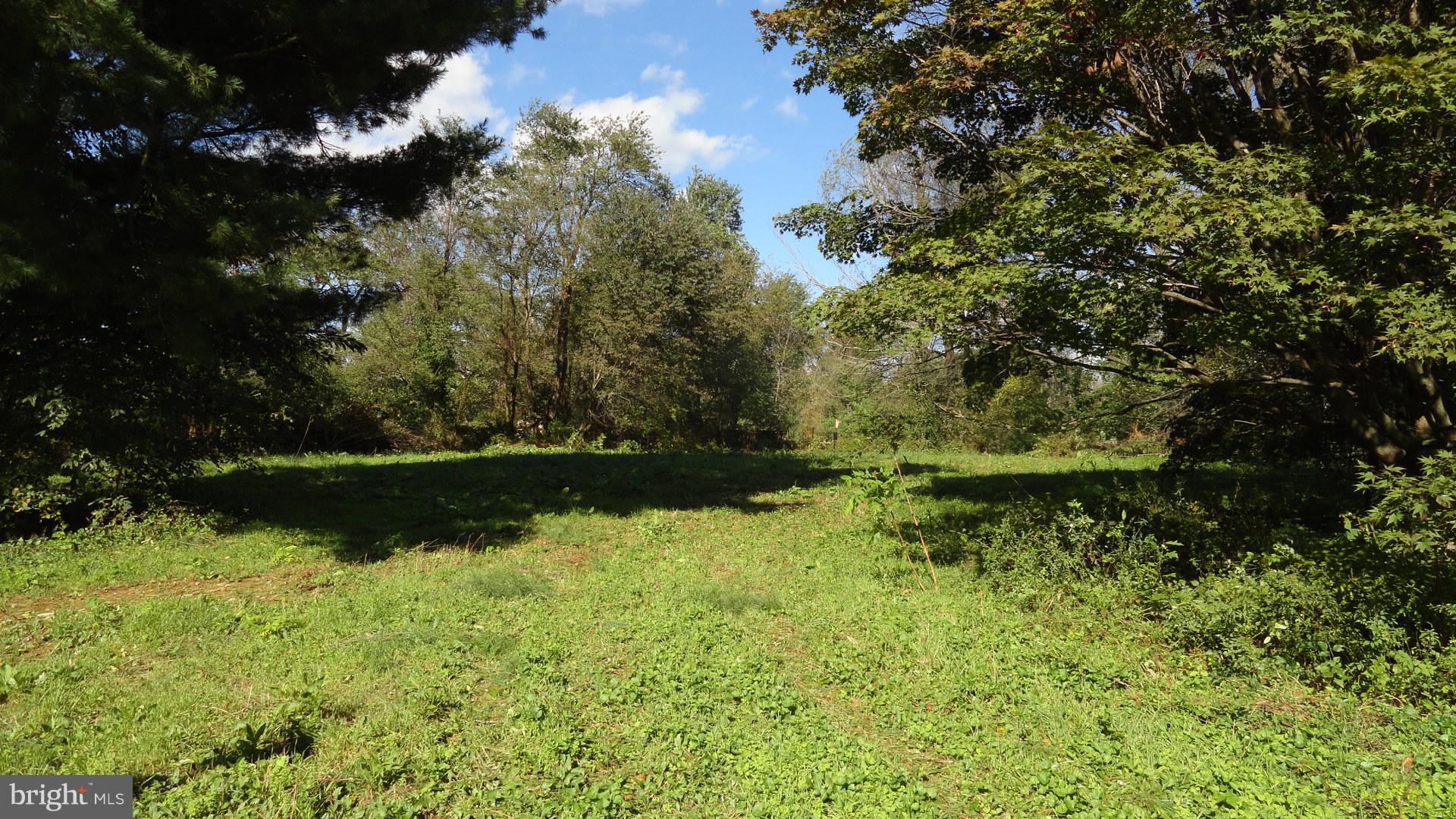 BLUEMONT - Residential