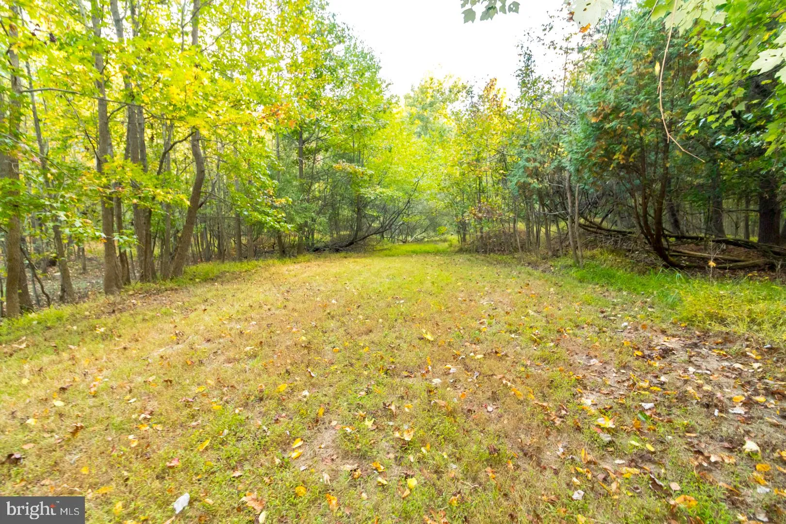 Robbinsville, New Jersey 08691, United States, ,Land,Active,7409