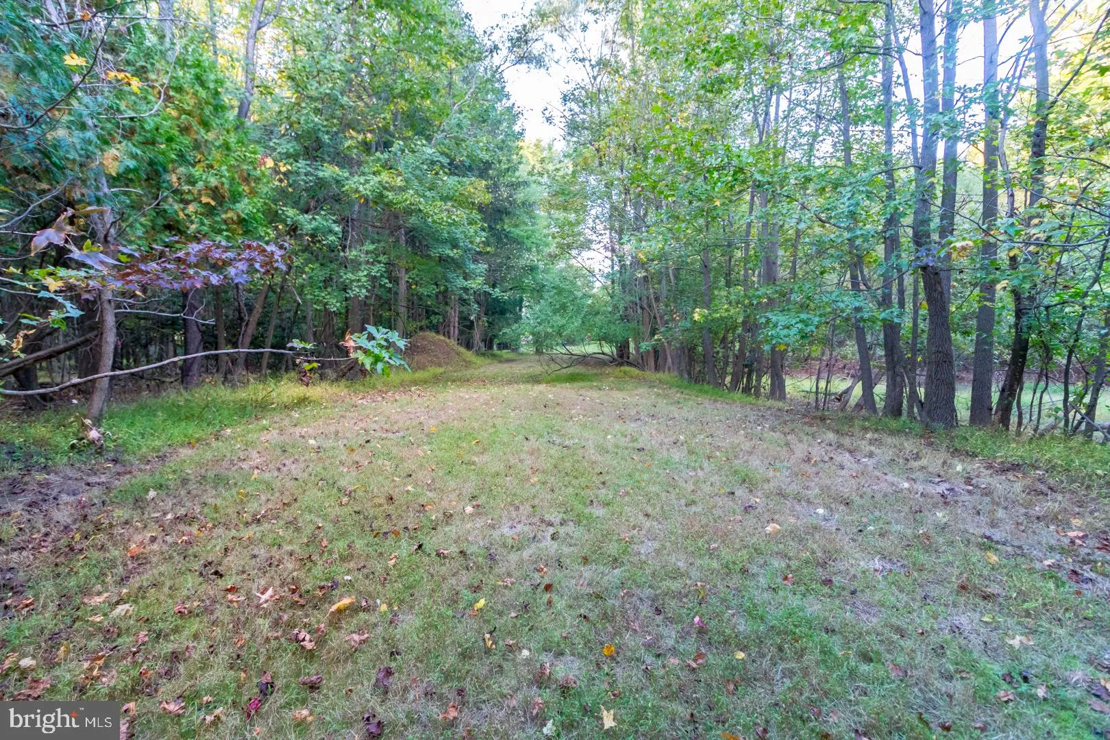 Robbinsville, New Jersey 08691, United States, ,Land,Active,7409