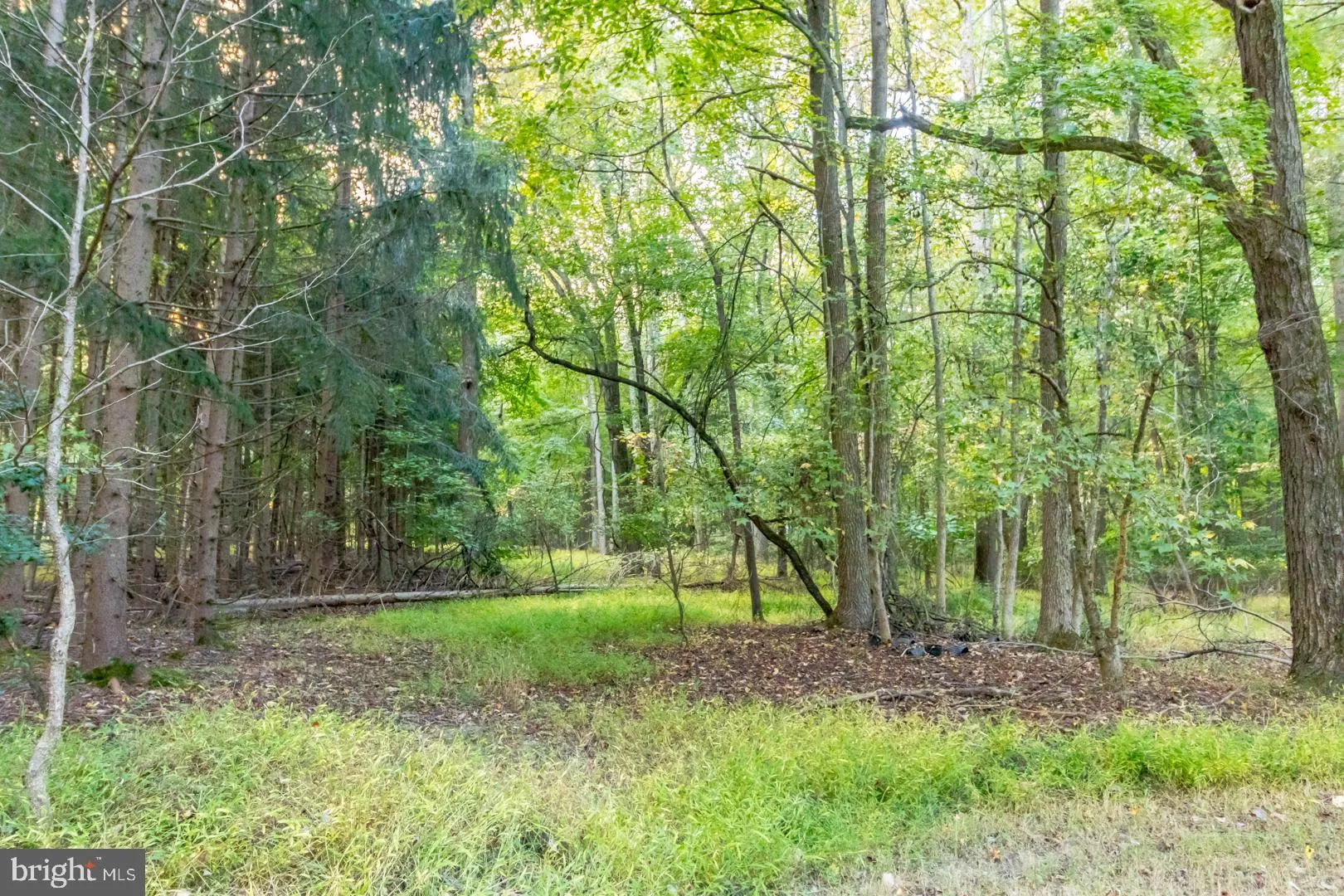 Robbinsville, New Jersey 08691, United States, ,Land,Active,7409